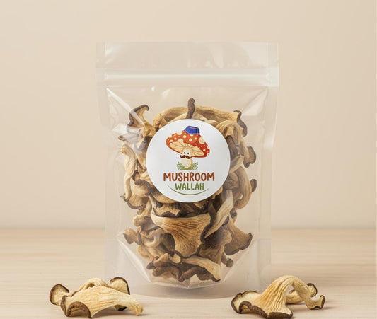 DRY OYSTER MUSHROOM